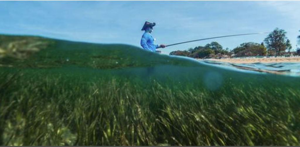 Doğa-negatif yatırımlara her yıl yaklaşık 7 trilyon akıyor