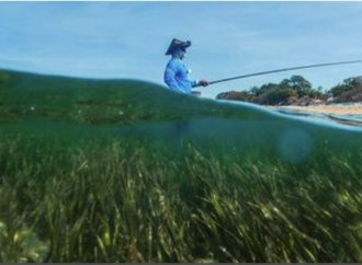 Doğa-negatif yatırımlara her yıl yaklaşık 7 trilyon akıyor