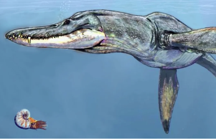 İngiltere’de 150 milyon yıllık deniz canavarı fosili bulundu