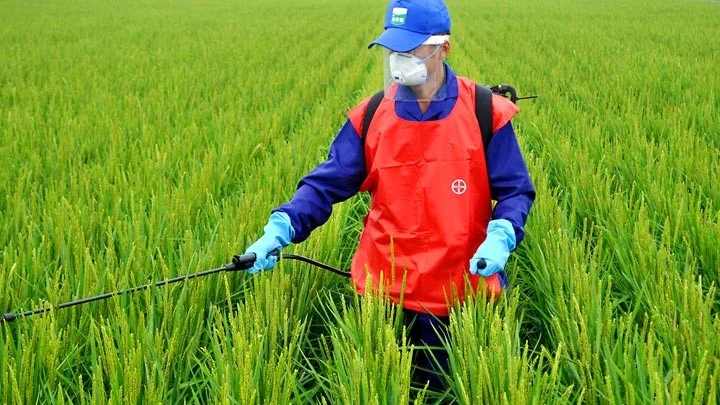 Bayer sürdürülebilir bitki koruma ürünleri geliştirmek için yapay zekayı kullanıyor