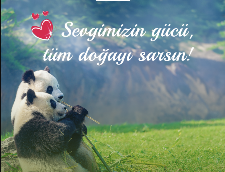 Bu Sevgililer Günü’nde sevginizle doğayı koruyun