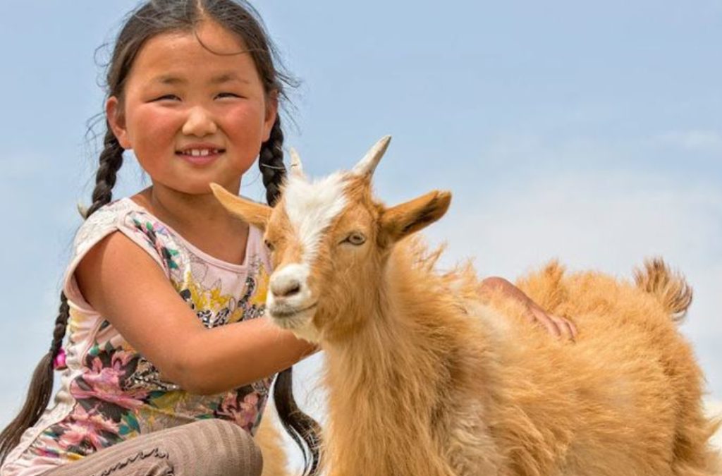 Küresel hedefler için belirlenen tarihin yarısına gelindi: BM İlk Yarı Karnesi 2. Bölüm