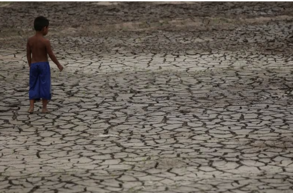 Amazon yağmur ormanlarındaki şiddetli kuraklık endişe verici 