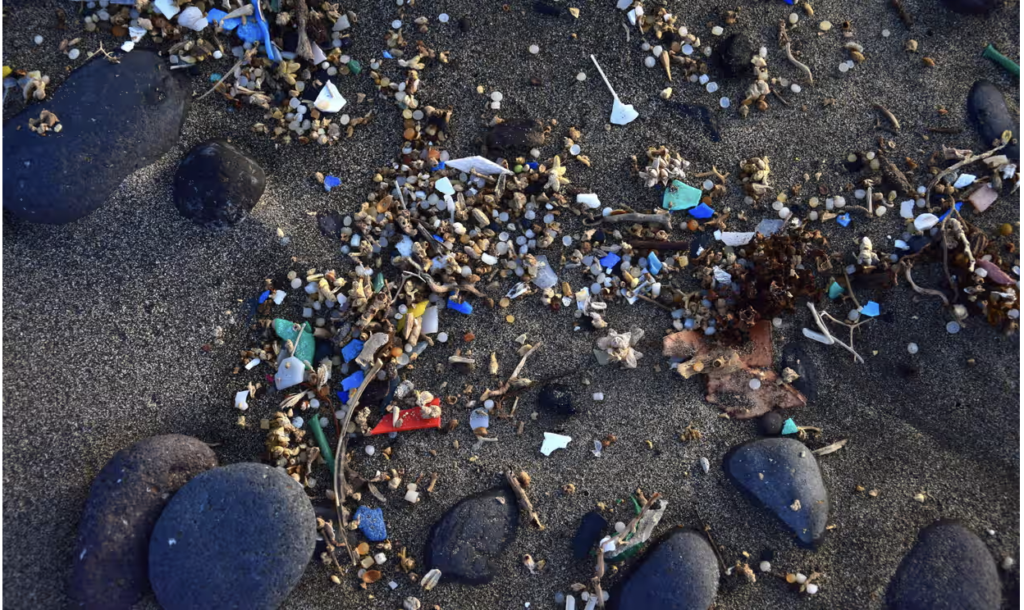 İnsan plasentasında mikroplastik tespit edildi