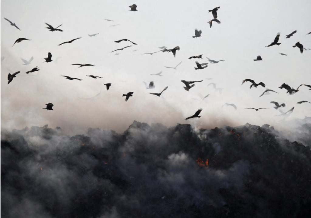 Birleşmiş Milletler zararlı atık üretiminin artacağı uyarısında bulundu
