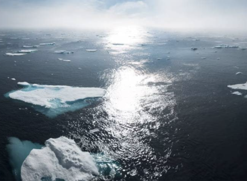 Samsung ve UNDP iş birliği olan ACT28 İklim için Yapay Zeka Hackathonu’na başvurular başladı