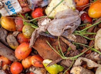783 milyon insan açlık çekerken üretilen gıdaların beşte biri çöpe gidiyor