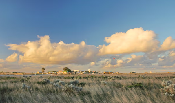 Bilim insanları uyardı: Karbon depolayan Avustralya toprağı, karbon yayıcı hale gelebilir ve iklim hedefleri için tehdit oluşturabilir