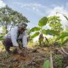 UNEP: Araziyi restore etme, çölleşmeyi durdurma ve kuraklıkla mücadele etmenin yolları