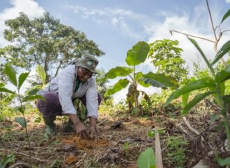UNEP: Araziyi restore etme, çölleşmeyi durdurma ve kuraklıkla mücadele etmenin yolları