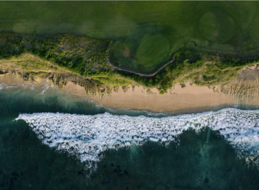 Sürdürülebilirlik hareketinde Google ile birlikte yol alan iklim girişimleri