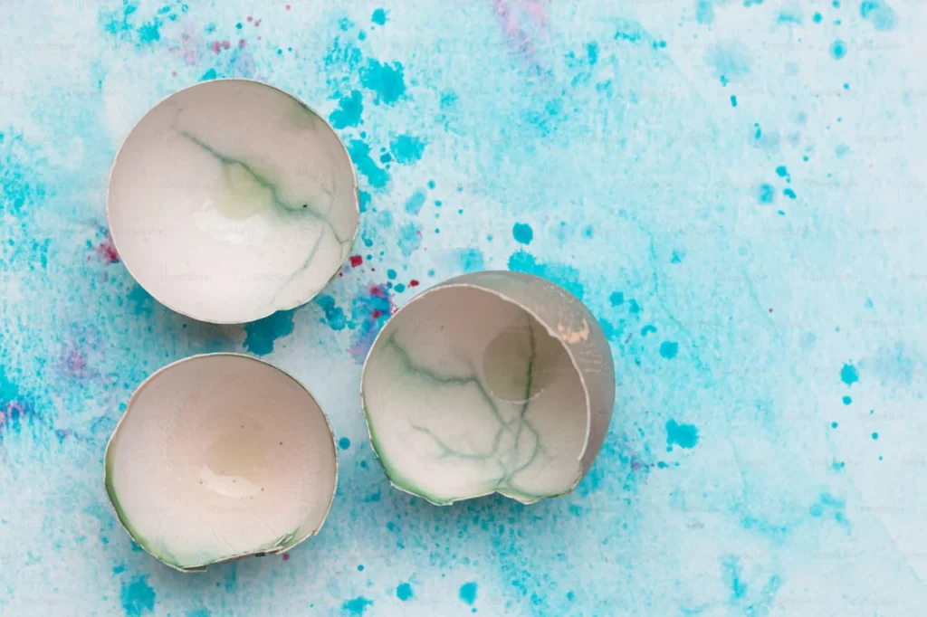 Yumurta kabukları çevre dostu gübreye dönüştürülüyor