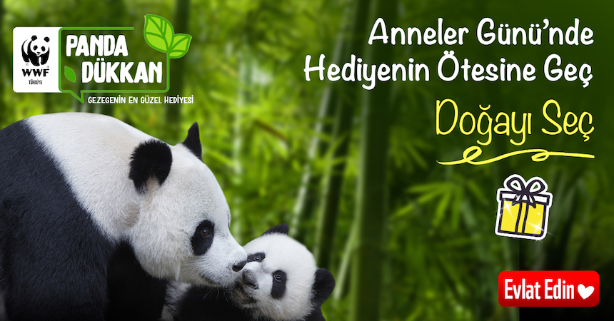 Anneler Günü’nde Hediyenin Ötesine Geç, Doğayı Seç