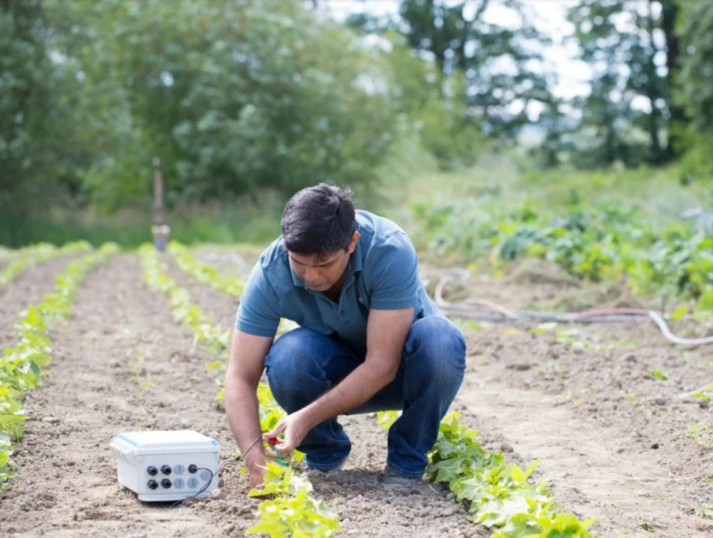 PwC ve Microsoft Net Sıfır dönüşüme yardımcı olmak için yapay zekaya ağırlık veriyor