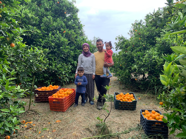 Buğday Derneği tarafından Hatay’da Tarımsal Üretimde Onarıcı Dönüşüm Projesi