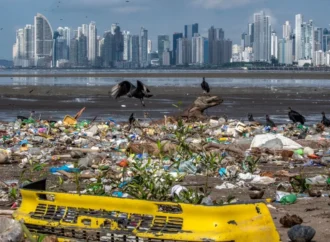 Eko-bilince sahip giysi markaları okyanusların korunmasına odaklanıyor