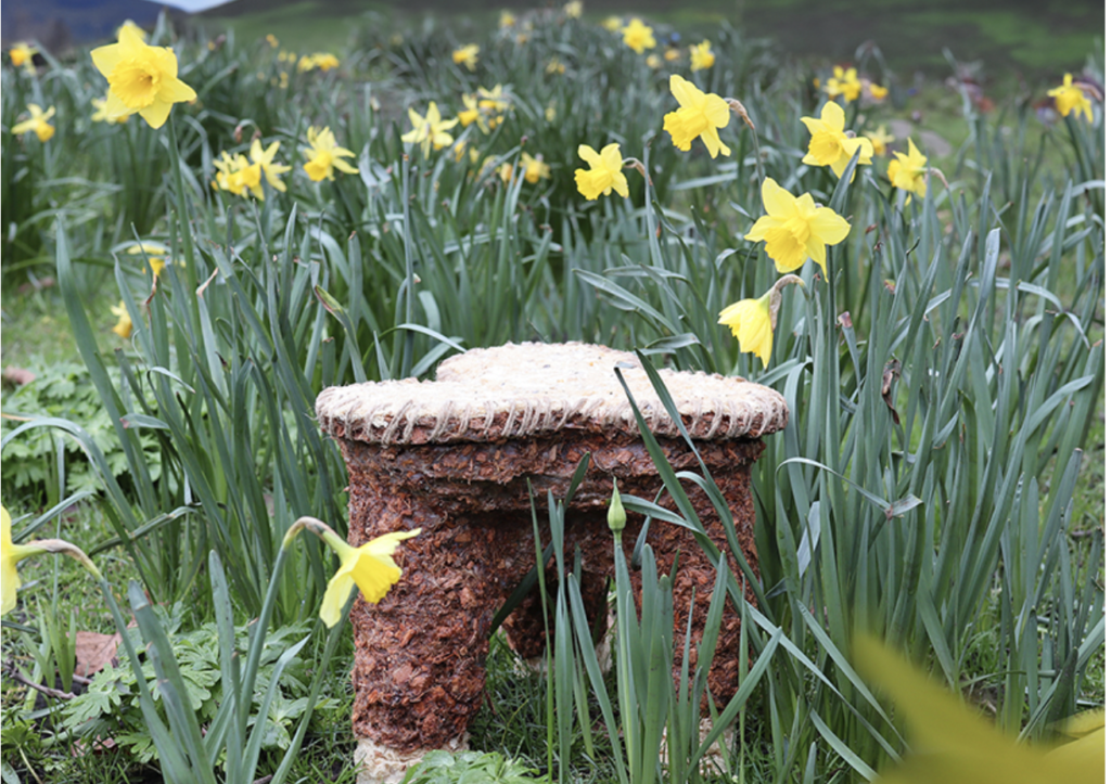 Patates bazlı plastikten tasarlanan tabure doğaya karışırken çiçek açıyor