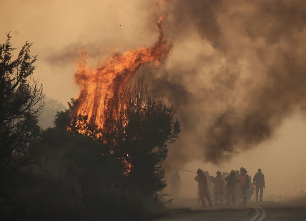 BM’den kömür, petrol ve doğal gaz reklamlarına yasak çağrısı