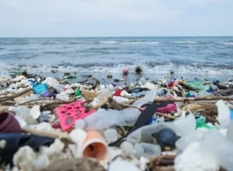 Plastik atıkları yiyen deniz mantarı bulundu