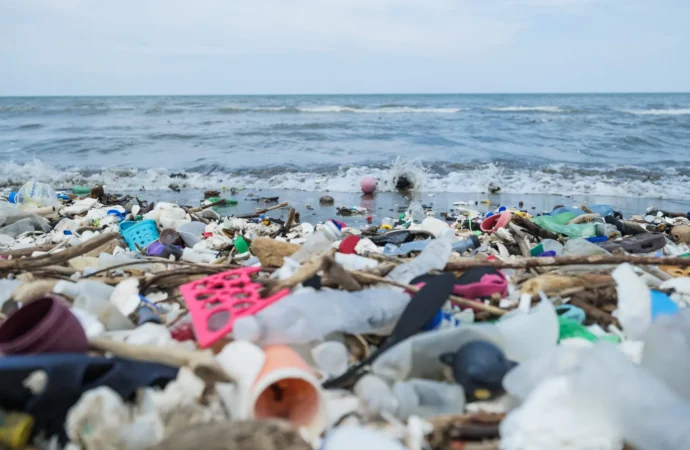 Plastik atıkları yiyen deniz mantarı bulundu