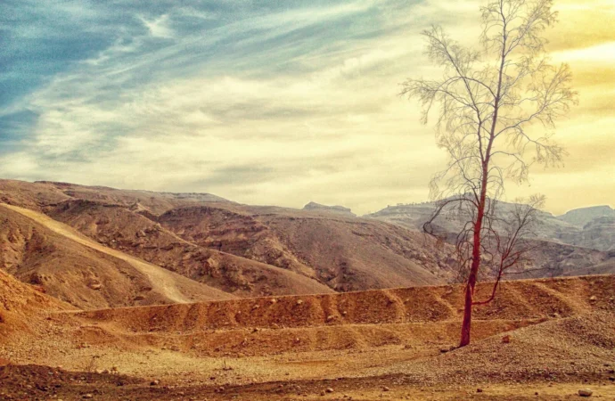 İklim değişikliği hastalık salgınlarını nasıl körüklüyor?