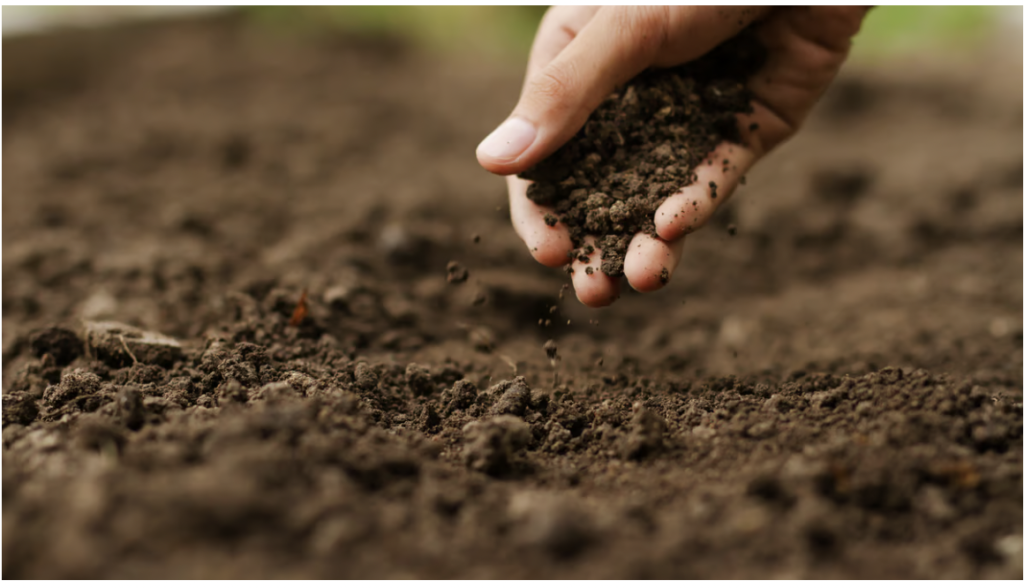 UNESCO: 2050 yılına kadar Dünya topraklarının yüzde 90’ı bozulabilir