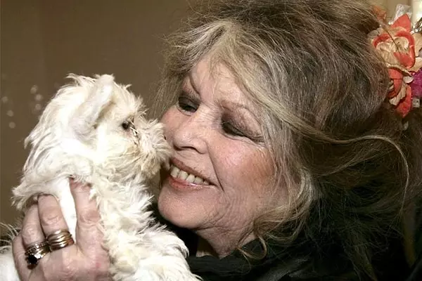 Dünyaca ünlü Fransız aktris Brigitte Bardot’dan Cumhurbaşkanı Erdoğan’a sokak hayvanları çağrısı