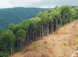 Dünya Limit Aşım Günü: İnsanlık gezegenin yıllık kaynaklarını 7 ayda tüketti