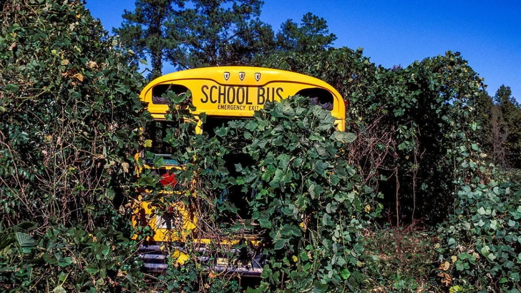 İklim değişikliği zararlı istilacı bitkileri yeniden uyandırabilir