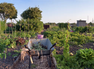 Doktorların ilaç yerine yeşil reçete yazması ruhsal hastalıkların iyileşmesinde önemli rol oynuyor