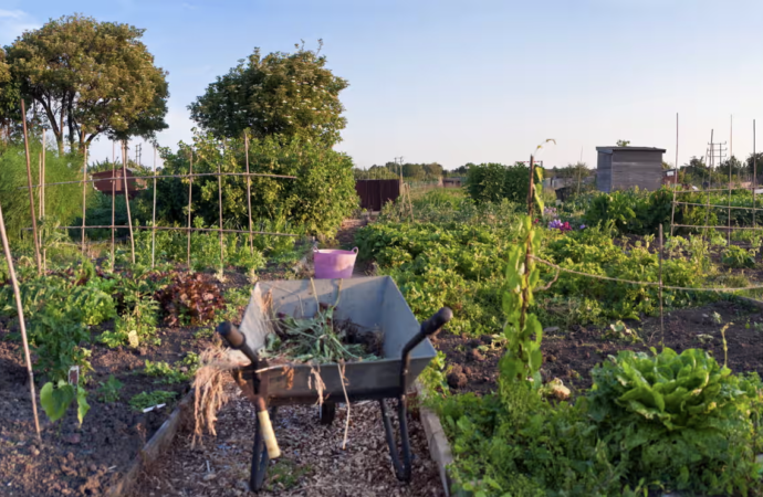 Doktorların ilaç yerine yeşil reçete yazması ruhsal hastalıkların iyileşmesinde önemli rol oynuyor