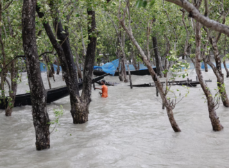 Dünya Bankası iklim finansmanı 2024 yılında 42,6 milyar dolara ulaştı