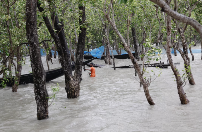 Dünya Bankası iklim finansmanı 2024 yılında 42,6 milyar dolara ulaştı