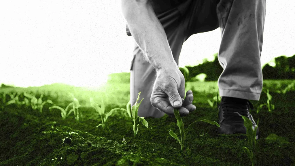 Tarımın geleceğine yön veren teknolojik yenilikler