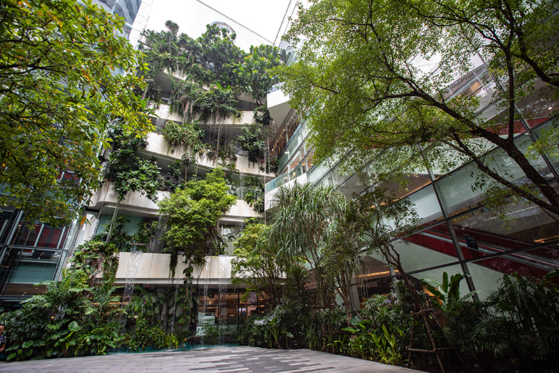 İklim krizi yönetiminde önemli bir başlık: Doğru şehir planlaması