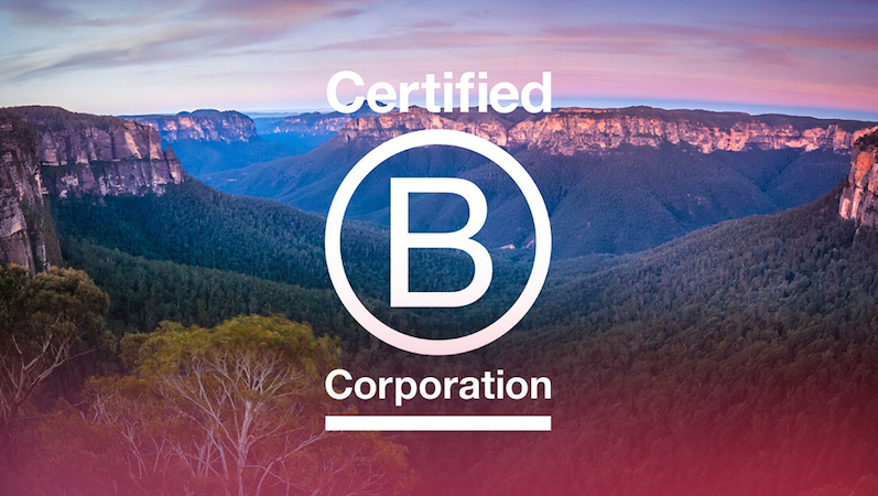 Kar ve amacı dengeleyen ABD merkezli B Corp girişimleri 