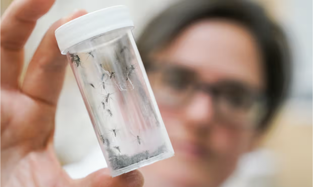 Avrupa’daki tıp fakültelerinin müfredatı iklim krizi ile bağlantılı hastalıklar üzerine daha fazla eğitim verecek şekilde güncelleniyor