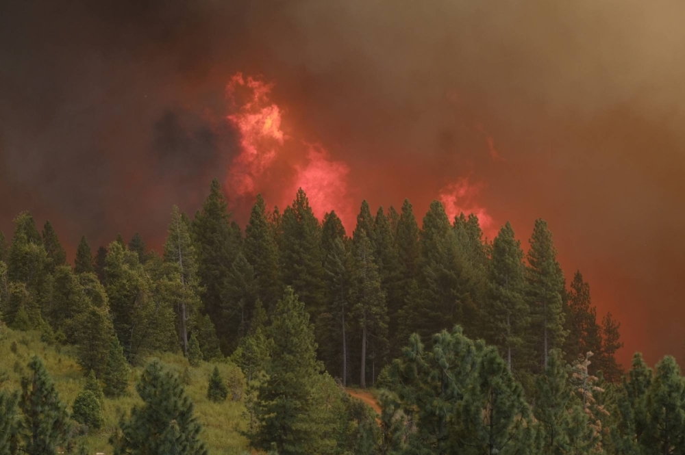 Orman yangını kaynaklı küresel emisyonlar 20 yılda yüzde 60 arttı