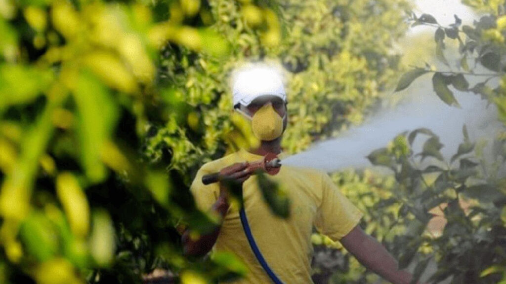Greenpeace, limitlerin üzerinde pestisit kullananların da açıklanmasını talep ediyor