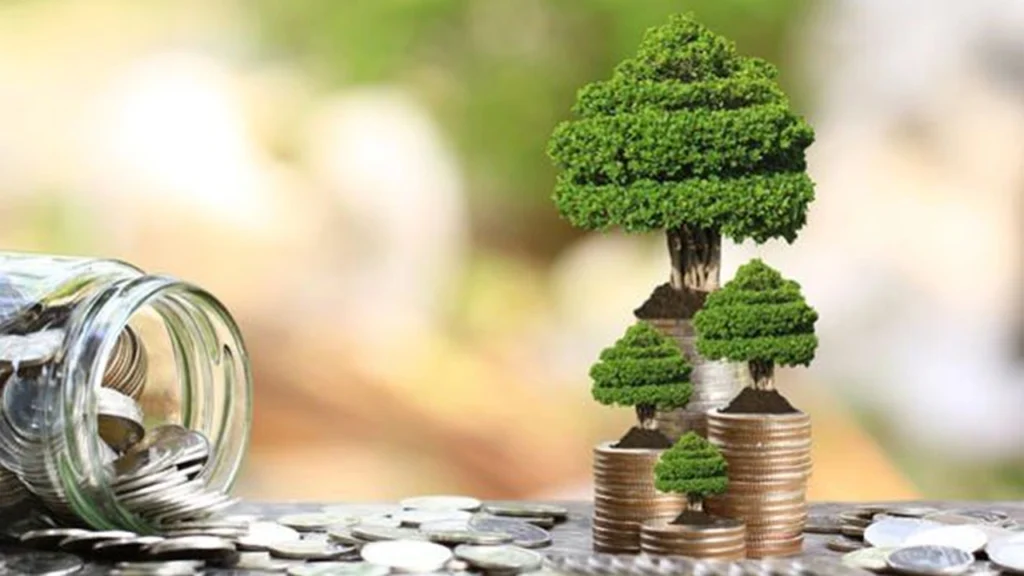 Yeşil tahvil nedir ve sürdürülebilir yatırımlara nasıl başlanır?