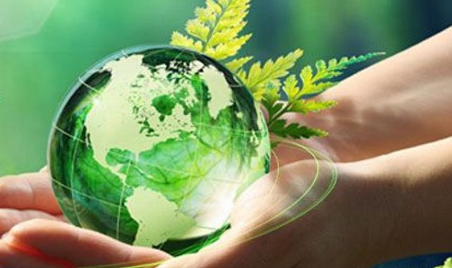 Türkiye’deki bankaların iklim karnesi ne durumda?