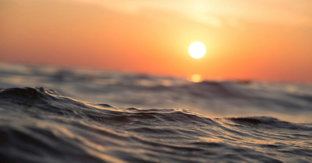 Deniz Yaşamını Koruma Derneği ile sürdürülebilirlik için yeni bir dönem başlıyor