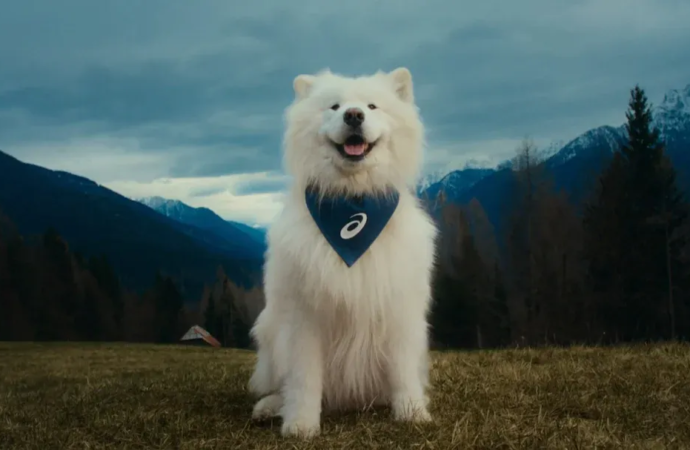 ASICS’ten patili ilham: Yeni marka elçisi bir köpek oldu