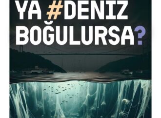 Çevre STK’larından Marmara Denizi için acil çağrı: ‘’Ya #DenizBoğulursa?’’