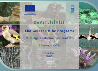 UNDP: Eko Gelecek Hibe Programı İstanbul’da