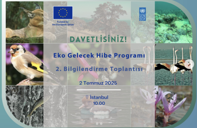 UNDP: Eko Gelecek Hibe Programı İstanbul’da