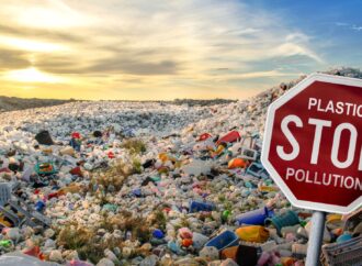 Dünya Çevre Günü 2025: Plastik kirliliğini birlikte yenebiliriz!