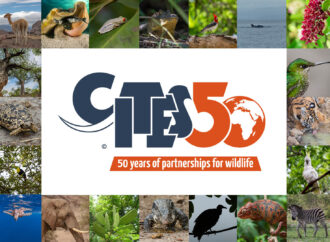 CITES 50 yaşında: Nesli tehlikedeki türler için yarım asırlık koruma 