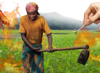 İkinci Afrika İklim Zirvesi’nde gündem ne olacak?