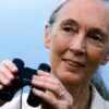 Pera Müzesi’nde Jane Goodall anma buluşması
